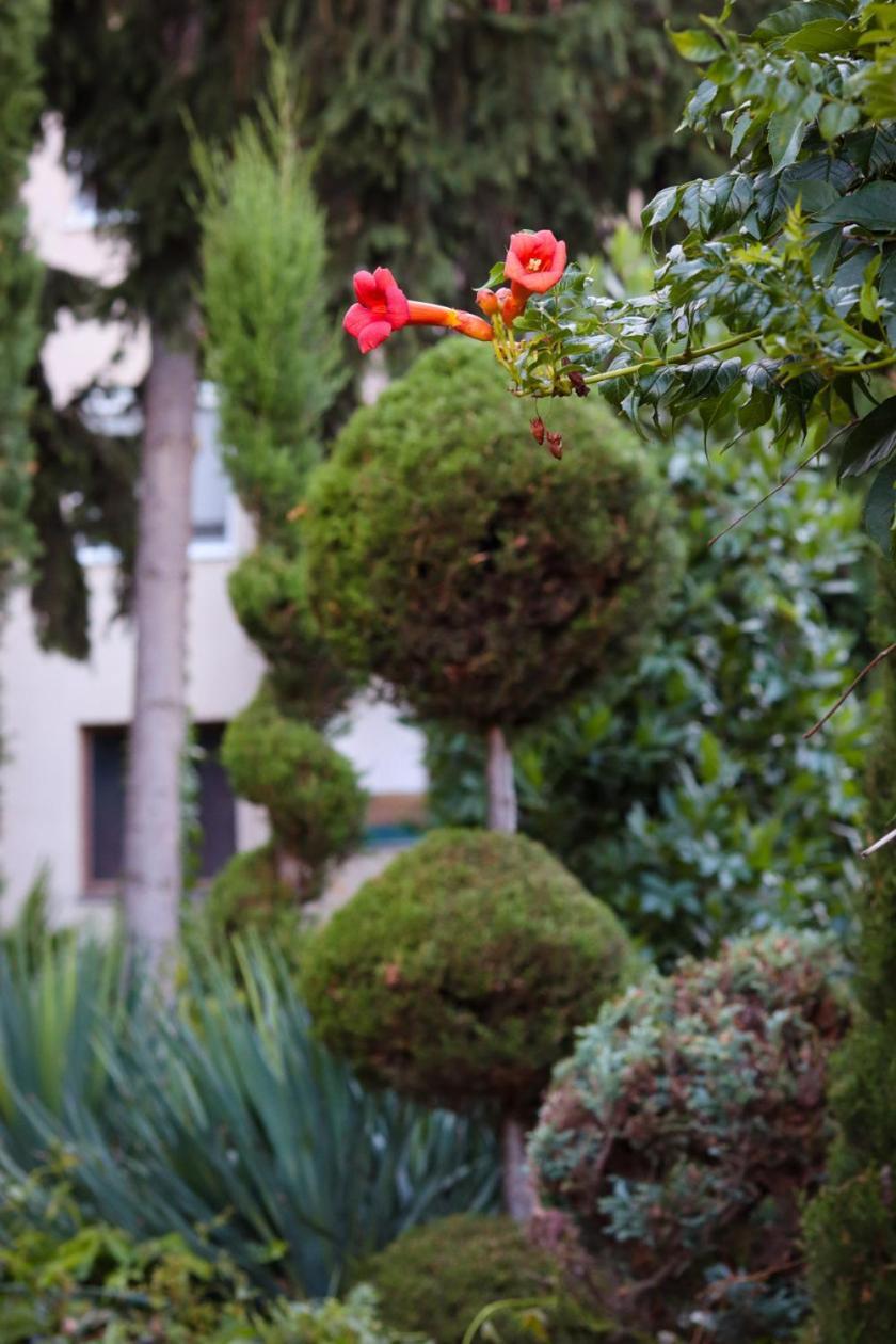 Cozy Panorama At The Castle Apartment Budapest Exterior photo